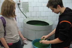 open-day-11