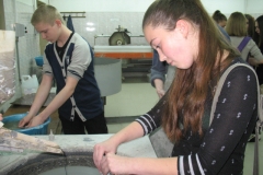 open-day-15